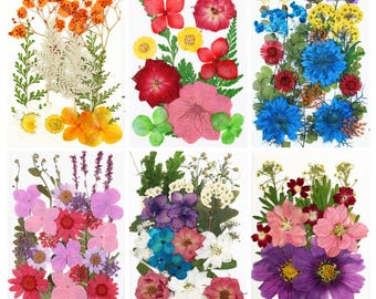 Mixed Pressed Flowers and Leaves Collection, Dried Flowers for Nail Art, iPhone Case Decor, Resin Crafts & Wedding Card Making