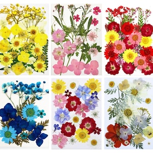 Real Pressed Flowers & Leaves, Natural Dried Rose Flowers for Resin Jewelry, Small Crafts, Beadable Earrings and Art Projects