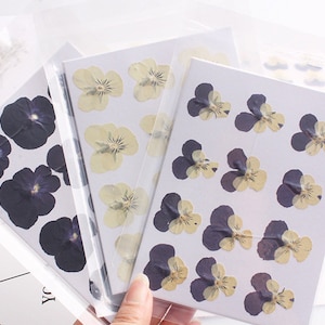 12pcs/pack Pressed Sweet Violet, Real Dried Pansy Flowers for Resin, Handmade iPhone Case Design, Wall Art Decor