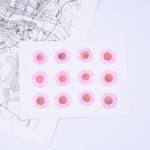 12pcs/pack Pressed Daisy Flowers Real Dried Fleabane Daisy Flower Natural Wild Preserved Flat Flower for Handmade Case Design Decor 1.5-3cm Light Pink