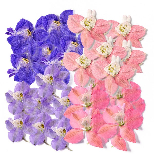 Pressed Larkspur Flowers, Natural Dried Consolida Ajacis, Pressed Delphinium Flowers for Resins, iPhone Case Decor, Handmade Crafting