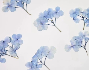 Paquete de 12 flores de hortensia prensadas, flores secas naturales para decorar cuadernos, rellenos de resina tipo camafeo, diseño de arte mural.