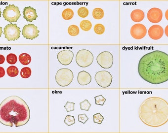 Real Pressed Fruit Slices Collection, Natural Dried Okra, Lemon, Kiwi, Tomato, Gooseberry for Resin Art Decor, DIY Candle Soap Making