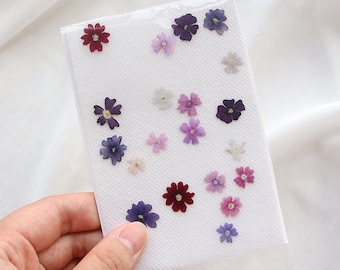 Surtido de flores de cerezo prensadas y secas, Sakura prensada real, flores secas prensadas para bodas, artesanías botánicas genuinas hechas a mano.