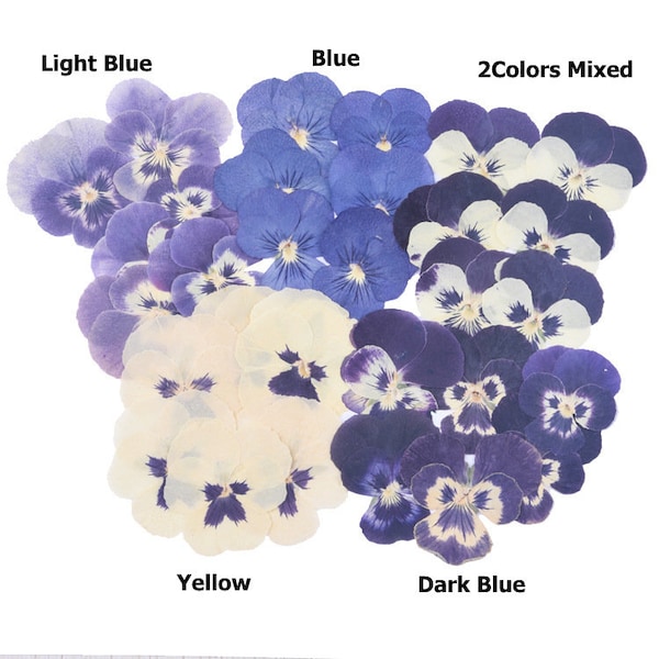 12pcs/pack Dried Violets, Pressed African Violets, Dried Flowers for Resin, Scrapbooking, Card Making, Wild Pansy Tricolor Viola