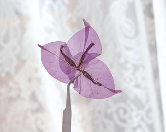 12pcs/set Pressed Plum Blossom, Natural Dried Flowers for Resin Fillers, Floral Wall Art Decor, Handmade Journal Design