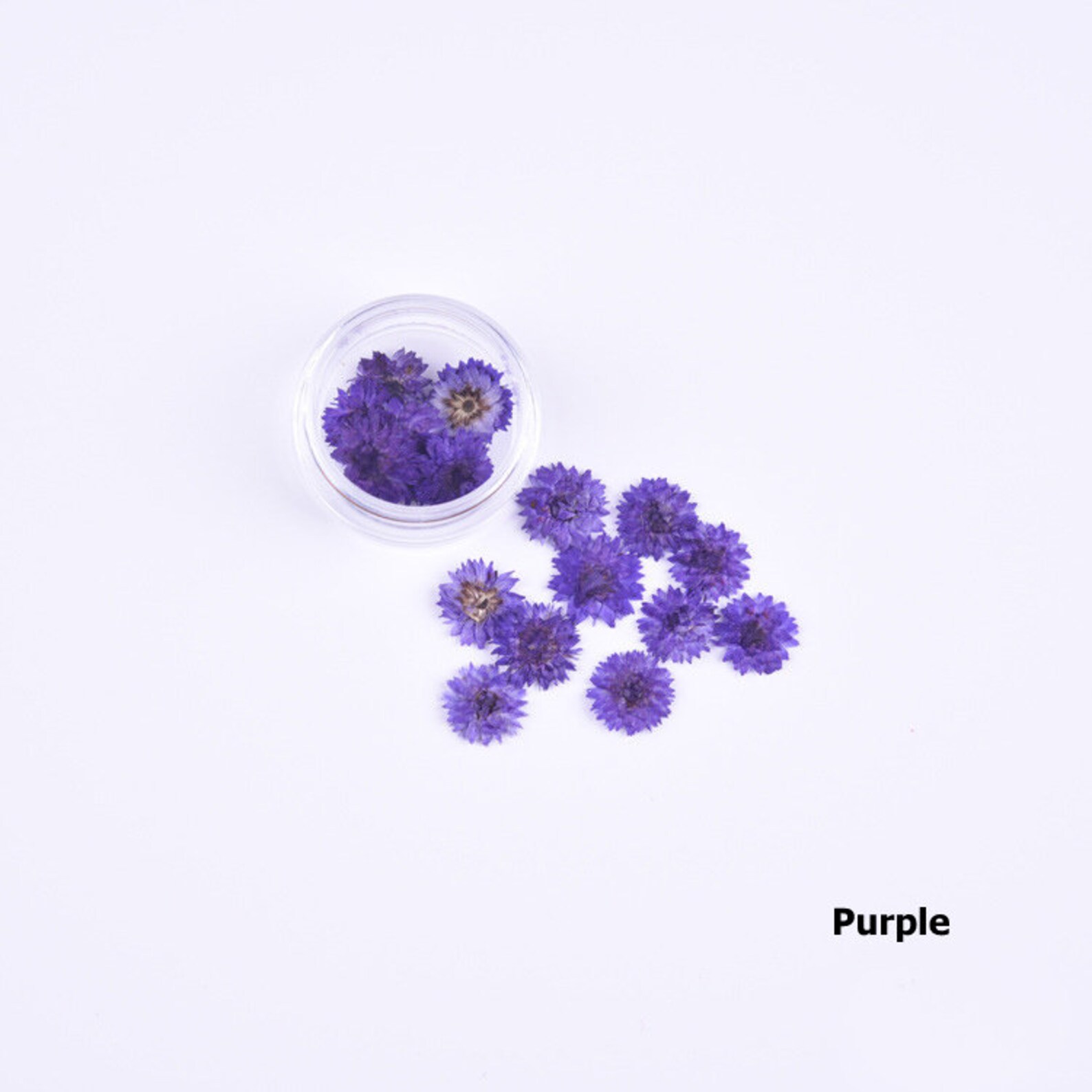 Dried Flowers for Nails Pressed Flowers Dried Flowers for Etsy