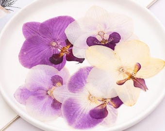 Paquete de 12 flores prensadas, orquídeas polilla secas naturales para rellenos de resina, decoración de uñas y fundas de iPhone. Flores silvestres prensadas a granel.