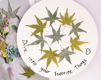 12pcs/pack Pressed Maple Leaves, Dried Autumn Leaf for Bookmark Decorative Filling, iPhone/iPad Case Decor