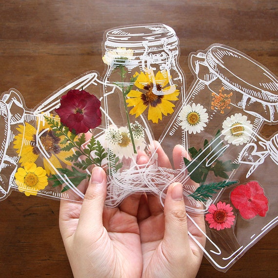  20/40PCS Transparent Dried Flower Bookmarks, Dried