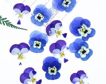 12pcs/pack Pressed Blue Violet Pansy Dried Flowers, Natural Ombre Purple Viola Petals for Resin Jewelry, Nail Art, Phone Case Decor DIY