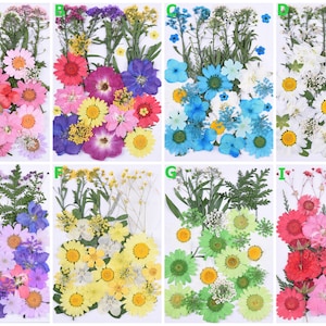 Flores secas para resina, flores prensadas, espécimes de plantas naturais faça você mesmo, flores secas para unhas, enchimentos de resina, decoração de herbário artesanal