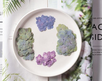 24 piezas/2 paquetes de flores de hortensia secas, flores prensadas naturales para resina, decoración de fundas de iPhone, artesanía hecha a mano.