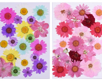20pcs/pack Assorted Pressed Flowers, Red Daisy Dried Flowers for Resin Art, iPhone Case Decor, Bookmarking, Floral Makeup