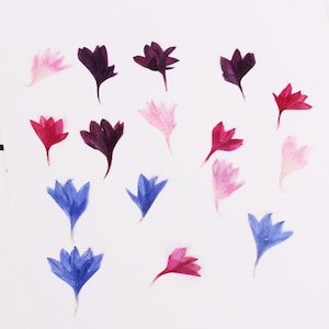 20 pz/confezione (5-10 mm) Fiori secchi per resina, Mini fiori pressati, Fiori secchi per nail art, Manicure/Pedicure Deco Fiordaliso naturale