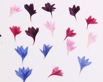 20pcs/pack (0.8-1.5cm) Dried Flowers for Resin, Mini Pressed Flowers, Dried Flowers for Nail Art, Manicure/Pedicure Deco Natural Cornflower