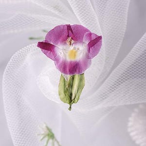 12 pcs/paquet fleurs en triangle, vraies fleurs séchées pour la fabrication de signets, résines, carte-cadeau, décoration de coque d'iPad
