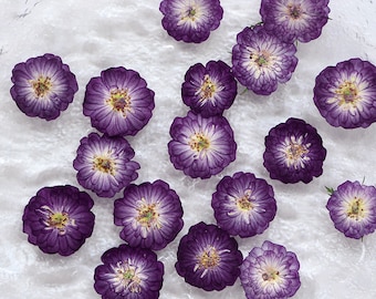Rosas prensadas, mini flores secas naturales para scrapbooking y tarjetas hechas a mano, rellenos de resina - 12 piezas/paquete