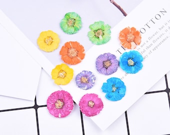 Thick Dried Flowers for Resin, Pressed Flower for Handmade iPhone Case Decor, Handcraft, Lockets, Resin Fillers, 12pcs/pack