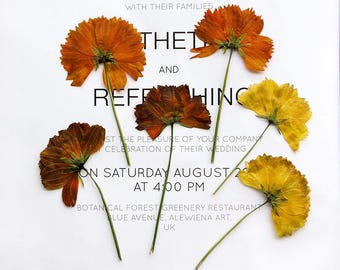 12pcs/pack Side Pressed Cosmos Flowers with Stem, Dried Cosmos Specimens for Macbook Case Decor, iPhone Case Design, Wooden Frame Decoration