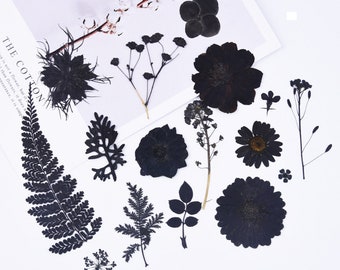 Black Pressed Flowers, Gothic Pressed Sakura, Dried Flowers for Resin, Halloween Christmas Holiday, Black Matters, Wedding Handmade Crafting