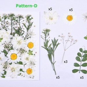 Dried Flowers for Resin, Pressed Flowers, DIY Natural Plant Specimens, Dried Flowers for Nails, Resin Fillers, Handmade Herbarium Decor Pattern-D