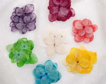 Paquete de 12 hortensias de hoja de roble prensadas, flores de hortensia secas reales para enmarcar, arte en resina, decoración de paredes y decoración de fundas de teléfono.