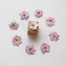 see more listings in the Pressed Dried Flowers section