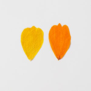 Puede incluir: Dos pétalos de flores, uno amarillo y otro naranja, están dispuestos uno al lado del otro sobre un fondo blanco.