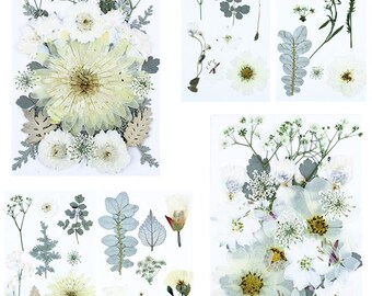 21pcs Real Pressed Snow White Roses, Skeleton Leaves & Lace Flowers, Natural Dried Botanicals for Resin Art, Wedding Decor, DIY Framing Kit