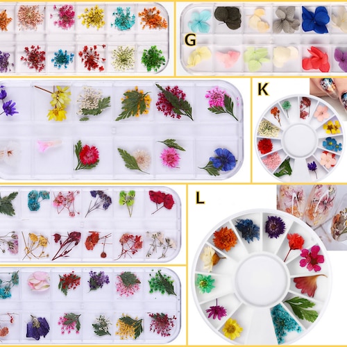 20pcs Mini Dried Pressed Flowers for Nail Art Etsy