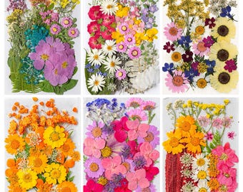 Flores prensadas mixtas y hojas naturales a granel para manualidades con resina, marcapáginas, decoración de fundas de teléfono y maquillaje facial.