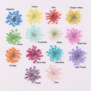 May include: Assortment of 15 dried flowers in various colours, including sapphire, yellow, red, ginger yellow, green, turquoise, white, rose red, orange, wine red, lake blue, light purple, purple, and pink.