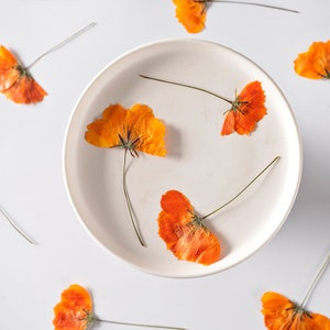 Paquete de 12 flores de cosmos prensadas, flores secas naturales para arte en resina, decoración de fundas de iPhone, flores/capullos/ramas.