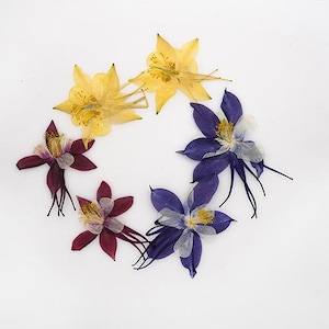 12pcs/pack Pressed Flowers, Natural Dried Flowers, Real Pressed Columbine for Wall Art, Wedding Invitations