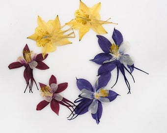 12pcs/pack Pressed Flowers, Natural Dried Flowers, Real Pressed Columbine for Wall Art, Wedding Invitations