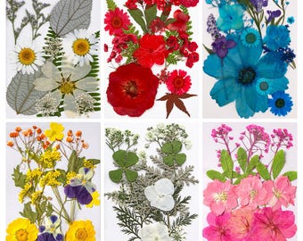 Pressed Dried Flower Collection – Mixed Real Flowers and Leaves for Phone Cases, Resin Crafts, Bookmarks, Face Makeup Decor & Botanical Art