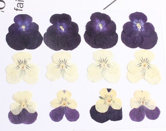 12pcs/pack Dried Violet Flowers, Dried Flowers for Resin, Pansy Flowers Natural Pressed Flowers Petal for Handmade iPhone Case Crafting