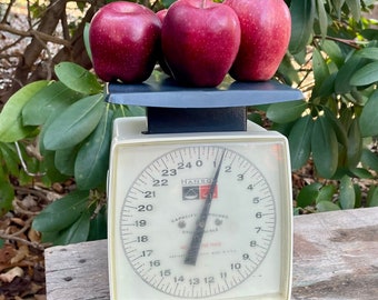 Vintage Hanson Kitchen Scale 25 Pound Capacity