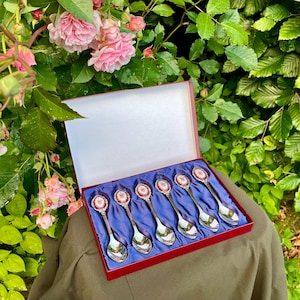 Vintage Silver Plate Teaspoon/Dessert Spoon Porcelain Rose Pattern Set 1960s