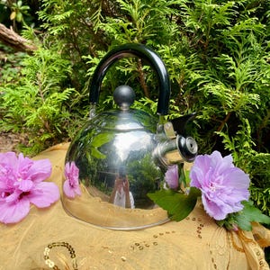 May include: A shiny, stainless steel tea kettle with a black handle and spout. The kettle reflects the surrounding greenery and a person taking the photo. The kettle is sitting on a gold cloth with pink flowers.
