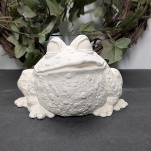 May include: A white ceramic frog figurine with a textured surface. The frog is in a seated position with its eyes closed and mouth slightly open. The figurine is on a dark surface, with a wreath of greenery in the background.