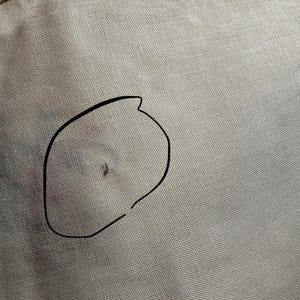 May include: Close-up of a beige fabric with a black outline of a shape drawn on it. The fabric has a woven texture and a small dark spot within the outline. A brown thread is visible at the top.