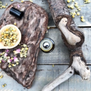 Mystical Face Serum • Truly Magical Skin Food • Nourishing + Healing • Regenerative + Non Comedogenic image 3
