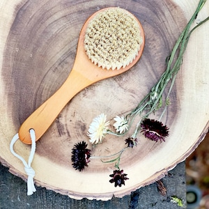 Dry Body Brush • Cleansing + Exfoliating • Eco Friendly Body Care Routine • Vegan Natural Bristles + Wood Handle