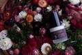 Eye Serum • Botanical Recovery • Antioxidant Berry & Algae Treatment