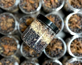 Elderberry Syrup Kit