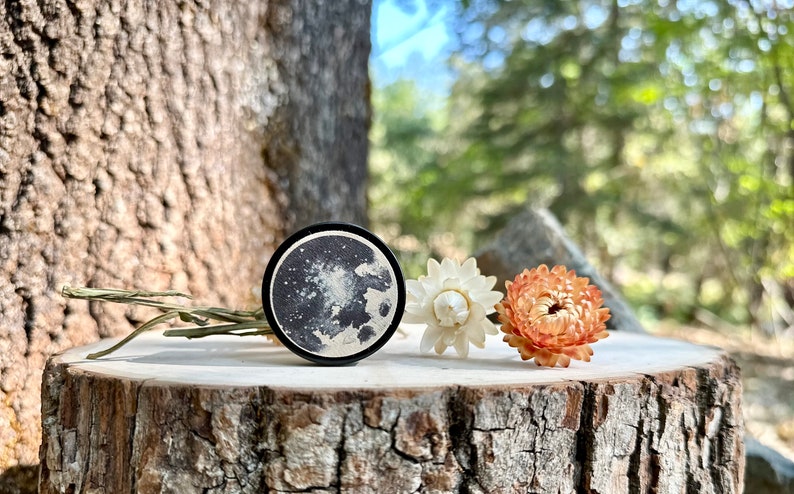 May include: A black and white moon print on a round wooden disc, with two dried flowers, one white and one orange, on a wooden log.