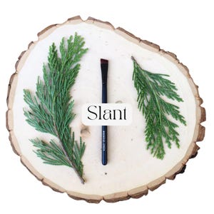 May include: A black makeup brush with an angled tip, featuring the text 'Slant' and 'MOONRISE CREEK' printed on the handle. The brush is positioned vertically between two green evergreen sprigs on a light-colored, circular wooden slice.