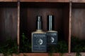 Tinted Face Moisturizer with Zinc • Primer • Sheer Tint Zinc Protection